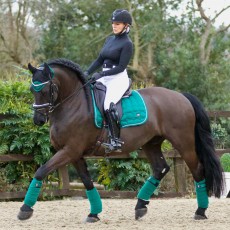 *OUTLET* Woof Wear Vision Dressage Saddle Cloth (British Racing Green)