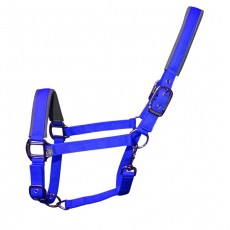 Woof Wear Contour Head Collar (Electric Blue)