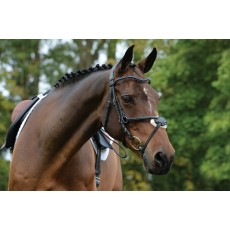 Collegiate Comfitec Grackle Bridle (Black)