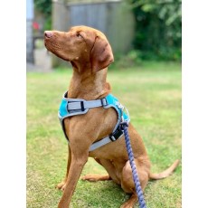 Henry Wag Dog Travel Harness