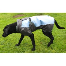 Henry Wag Waterproof Dog Coat