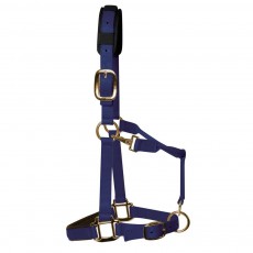 KM Elite Padded Headcollar (Navy)