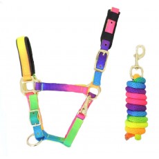 KM Elite Padded Headcollar & Lead (Rainbow)