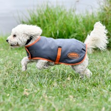 Weatherbeeta Comfitec Windbreaker Free Dog Coat (Gunmetal/Coral) Weatherbeeta Comfitec Windbreaker Free Dog Coat (Gunmetal/Coral)