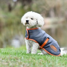 Weatherbeeta Comfitec Windbreaker Free Dog Coat (Gunmetal/Coral) Weatherbeeta Comfitec Windbreaker Free Dog Coat (Gunmetal/Coral)