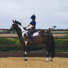 Woof Wear Close Contact Saddle Cloth Colour Fusion (Lilac)