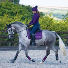 *OUTLET* Woof Wear Vision Dressage Saddle Cloth (Damson)