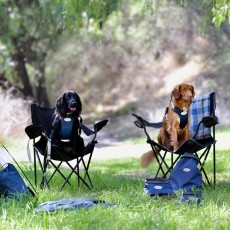 Weatherbeeta Explorer Dog Food Portable Bag (Navy)