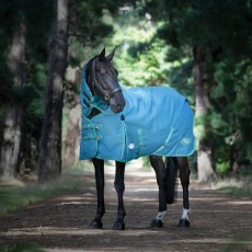 Weatherbeeta Green-Tec 1200D Detach-A-Neck Lite Plus Turnout (Dragonfly Blue/Bottle Green)