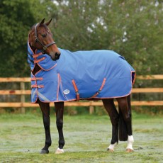 Weatherbeeta Comfitec Plus Dynamic II Detach-A-Neck 220g Mediumweight Turnout (Royal Blue/Bright Ora