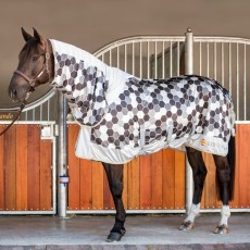 Equilibrium Field Relief Fly Rug