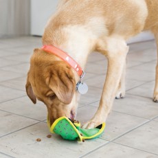 KONG Ballistic Hide N Treat (Assorted Colours)