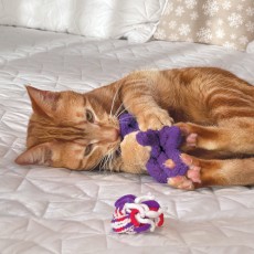 KONG Cat Active Rope (2-Pack)