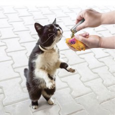 KONG Cat Refillables Catnip Tube (3-PK)