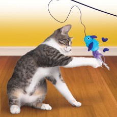 KONG Cat Teaser Feather (Assorted Colours)
