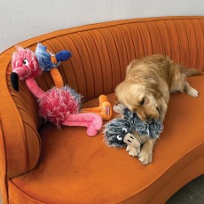 KONG Comfort Jumbo Birds (Assorted Colours)