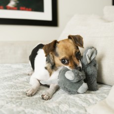 KONG Comfort Kiddos Elephant