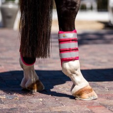 Equilibrium Tri-Zone Brushing Boots - NEW (Fluorescent Pink)