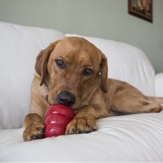 KONG Snacks (Bacon & Cheese)