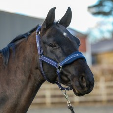 Equilibrium Stellar Style Headcollar (Navy)