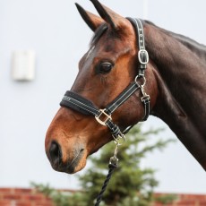 Equilibrium Stellar Style Headcollar (Black)