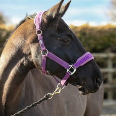 Equilibrium Stellar Style Headcollar (Purple)