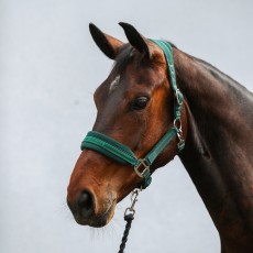 Equilibrium Stellar Style Headcollar (Green)