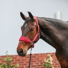 Equilibrium Stellar Style Headcollar (Red)