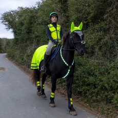 Woof Wear LED Neck Band (Hi Viz Yellow)