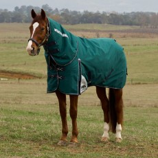 Weatherbeeta ComfiTec Plus Dynamic Detach a Neck 100g Turnout (Forest Green/Navy)