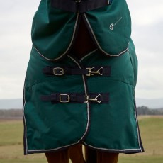 Weatherbeeta ComfiTec Plus Dynamic Detach a Neck 100g Turnout (Forest Green/Navy)