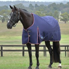 Weatherbeeta ComFiTec Essential Turnout Standard Neck 50g Rug (Navy/Burgundy)