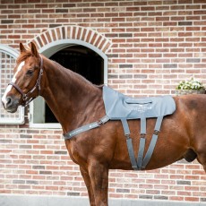 Equilibrium Massage Pad