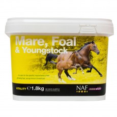 NAF Mare Foal & Youngstock