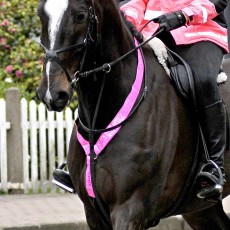 Equisafety Neckband