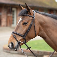 Mark Todd Cut Away Bridle