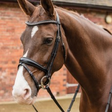 Mark Todd Crystal Dressage Bridle