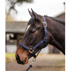 Mark Todd Turnout Safety Headcollar (Navy)