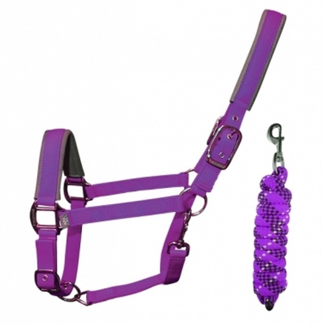 Woof Wear Head Collar and Lead Rope Colour Fusion (Ultra Violet)