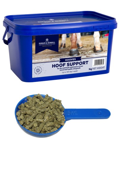 Dodson and Horrell Hoof Support
