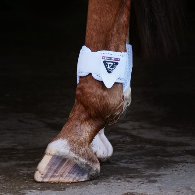 Equilibrium Tri-Zone Fetlock Boot (White)