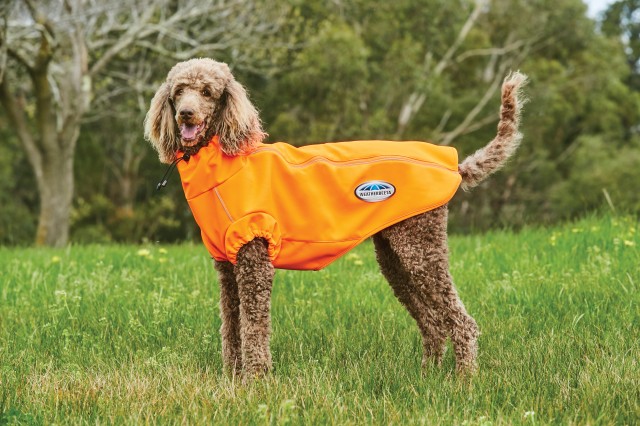Weatherbeeta Comfitec Active Dog Coat (Yellow)