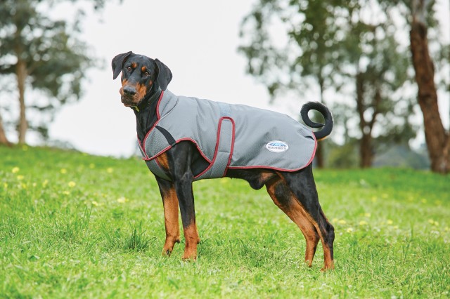 Weatherbeeta Comfitec Premier Free Parka Deluxe Dog Coat Medium (Grey/Burgundy)