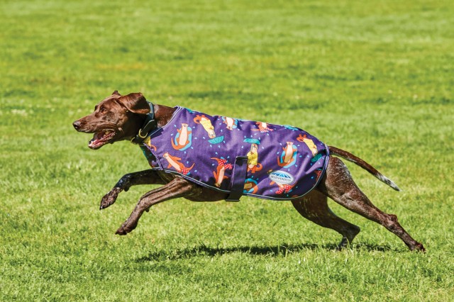 Weatherbeeta Comfitec Premier Free Parka Dog Coat Medium (Otter Print)