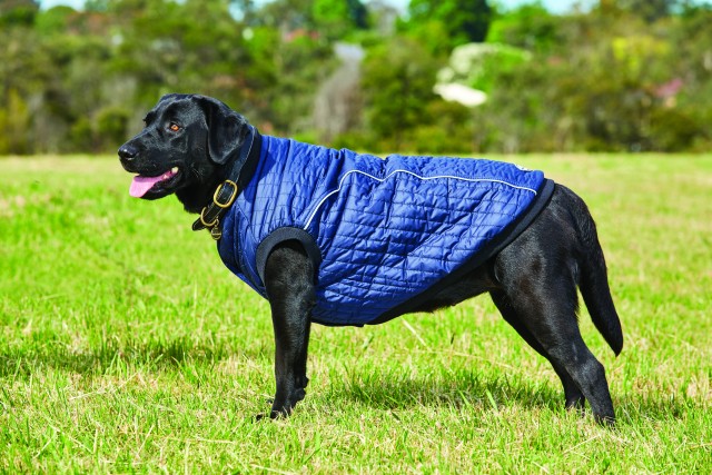 Weatherbeeta Comfitec Puffer Dog Coat (Navy)