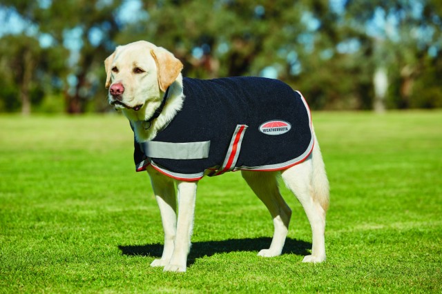 Weatherbeeta Comfitec Therapy-Tec Fleece Dog Coat (Black/Silver/Red)