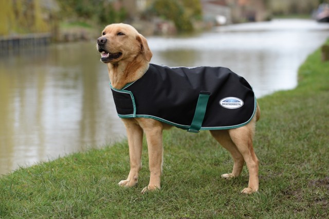 Weatherbeeta Green-Tec - 900D Dog Coat - Medium (Black/Bottle Green)