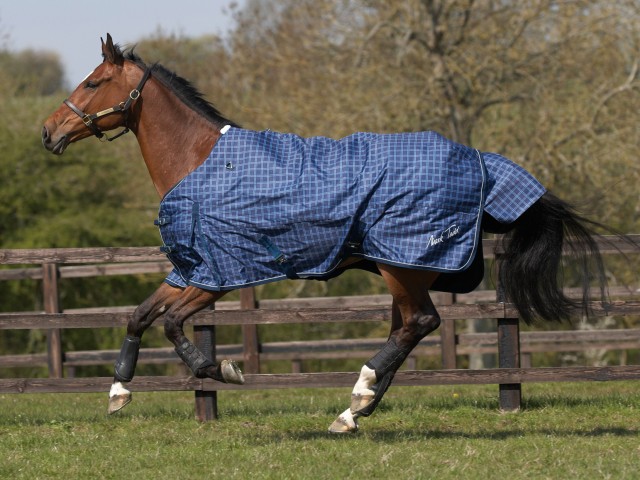 Mark Todd Mediumweight Turnout Rug