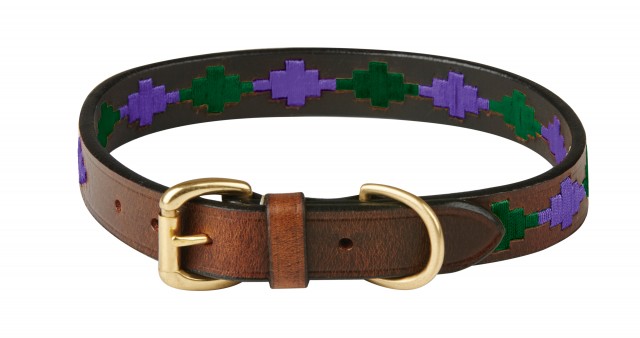 Weatherbeeta Polo Leather Dog Collar (Beaufort Brown/Purple/Teal)