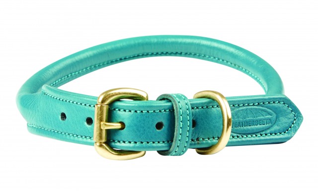 Weatherbeeta Rolled Leather Dog Collar (Teal)